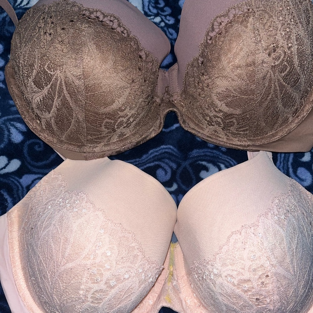 Women’s bra